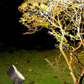 DC24V Outdoor Waterproof LED Spot Lights Trees Lights