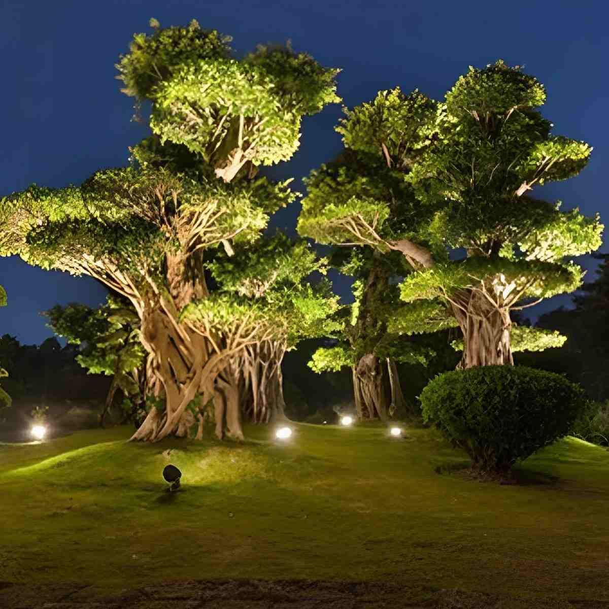 DC24V Outdoor Waterproof LED Spot Lights Trees Lights